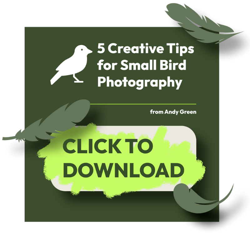 5 Creative Tips - Cheat Sheet - Thumbnail