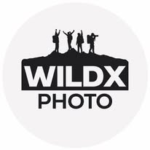 Wild Experience Photography